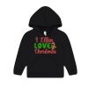 Toddler Sponge Fleece Hooded Sweatshirt Thumbnail