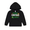 Toddler Sponge Fleece Hooded Sweatshirt Thumbnail
